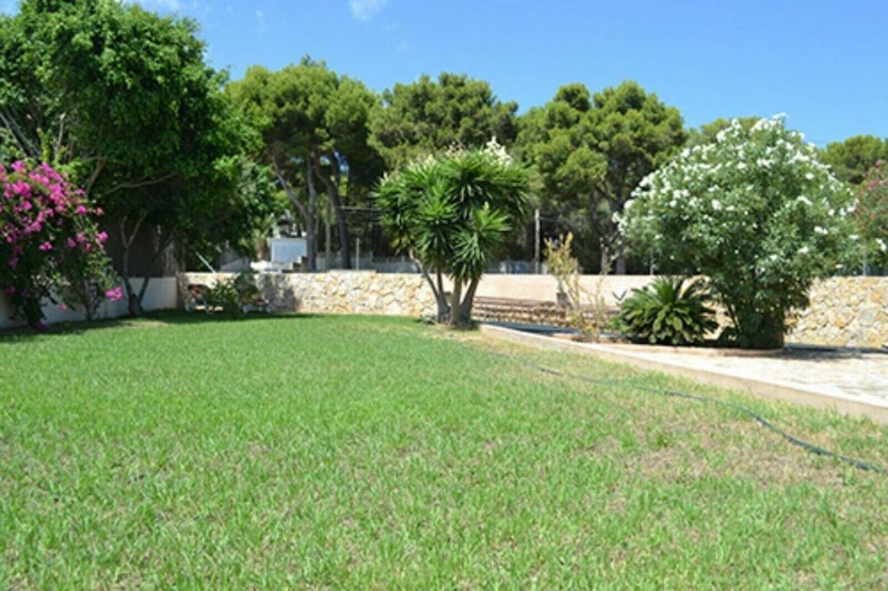 Casa La Siesta- Ruhiges Ferienhaus In Cala Ratjada, 300 M Vom Strand Son Moll Entfernt Cala Ratjada  Bagian luar foto
